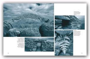 Bild: 9783800317486 | Mythisches Irland | Mythen und Legenden | Ernst-Otto Luthardt | Buch