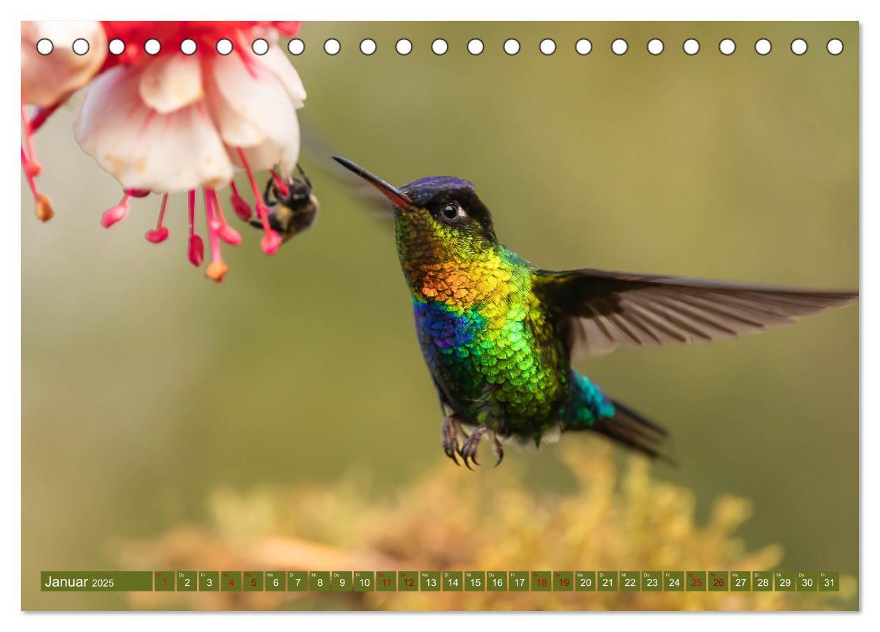 Bild: 9783383887109 | Zauberhafte Kolibris in Costa Rica (Tischkalender 2025 DIN A5...