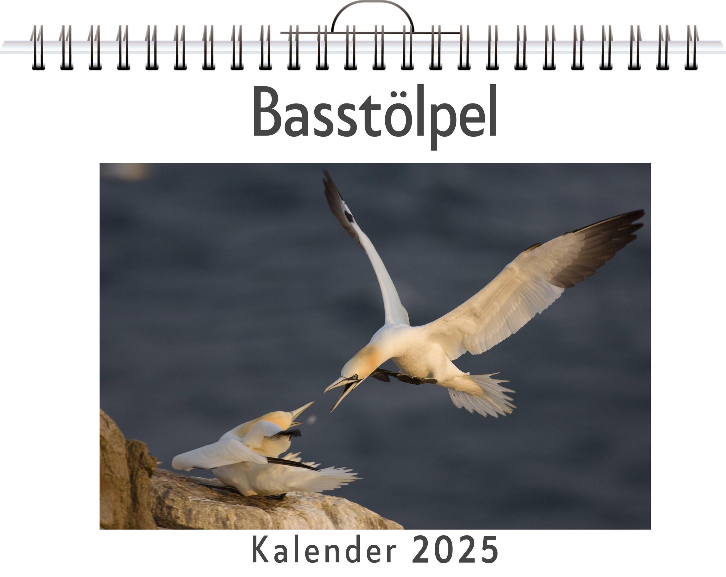 Cover: 9783759128683 | Basstölpel | Nora Schubert | Kalender | Kalender | 14 S. | Deutsch