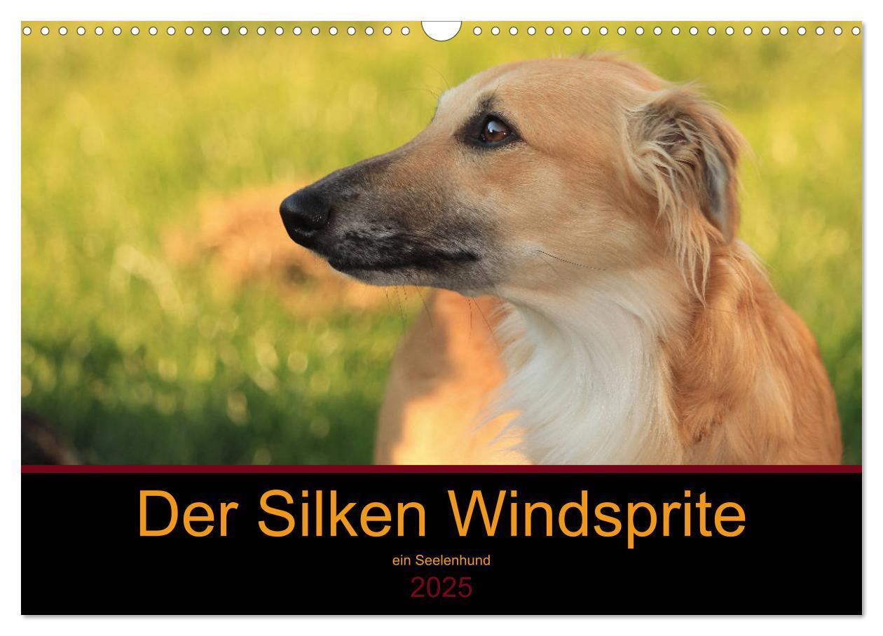 Cover: 9783435433308 | Der Silken Windsprite - ein Seelenhund (Wandkalender 2025 DIN A3...