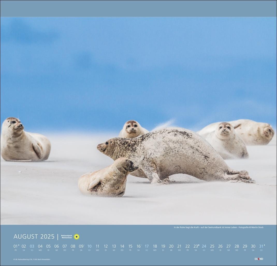 Bild: 9783964023124 | Nationalpark Wattenmeer Edition Kalender 2025 - Martin Stock | 13 S.