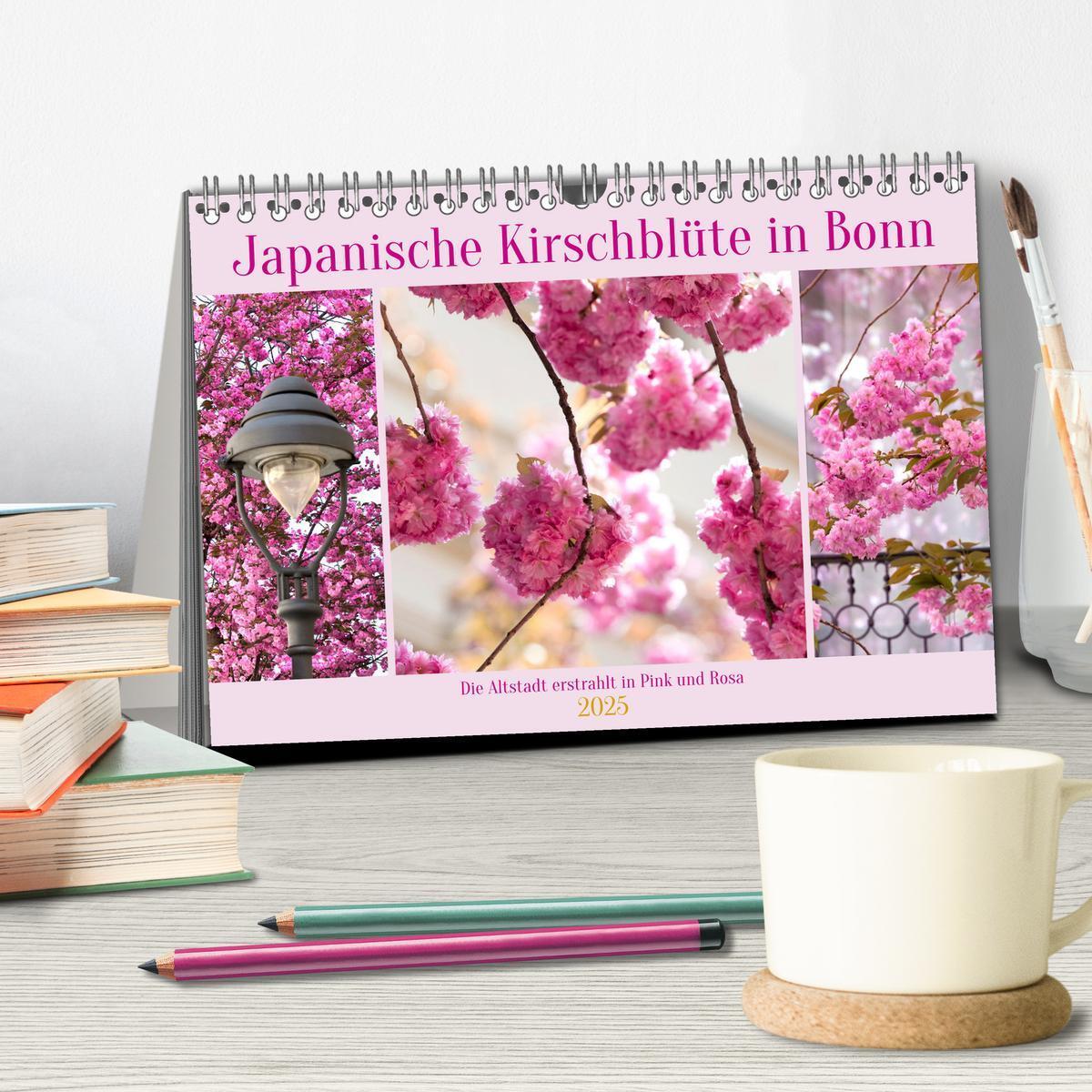 Bild: 9783457127889 | Japanische Kirschblüte in Bonn (Tischkalender 2025 DIN A5 quer),...