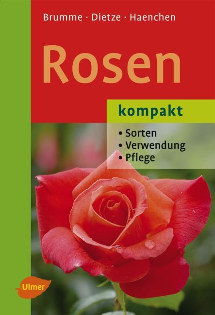 Cover: 9783800153794 | Rosen kompakt | Sorten, Verwendung, Pflege | Hella Brumme (u. a.)