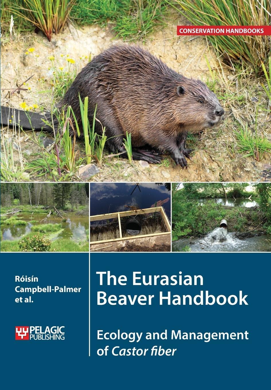 Cover: 9781784271138 | The Eurasian Beaver Handbook | Ecology and Management of Castor fiber