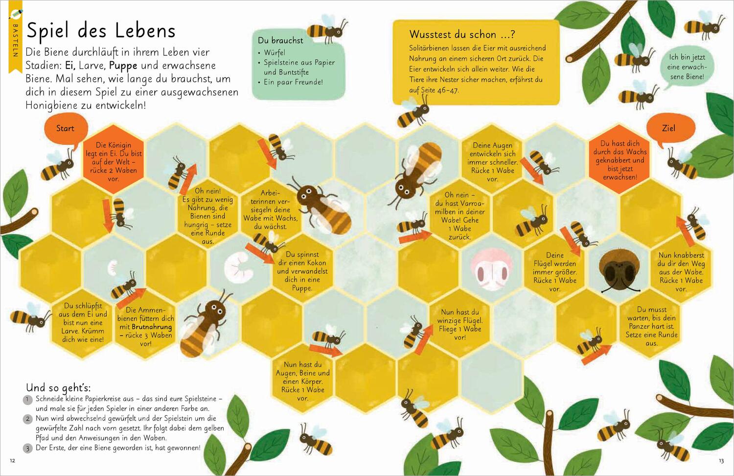 Bild: 9783809443018 | Kennst du die Natur? - Bienen. Das Aktiv- und Wissensbuch für...