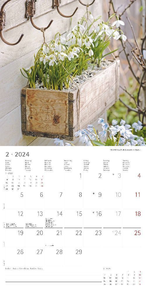 Bild: 4251732335281 | Garden &amp; Decoration 2024 - Broschürenkalender 30x30 cm (30x60...