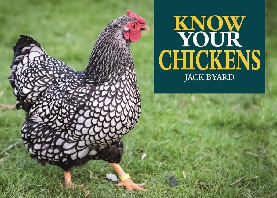 Cover: 9781912158478 | Know Your Chickens | Jack Byad | Taschenbuch | Englisch | 2020