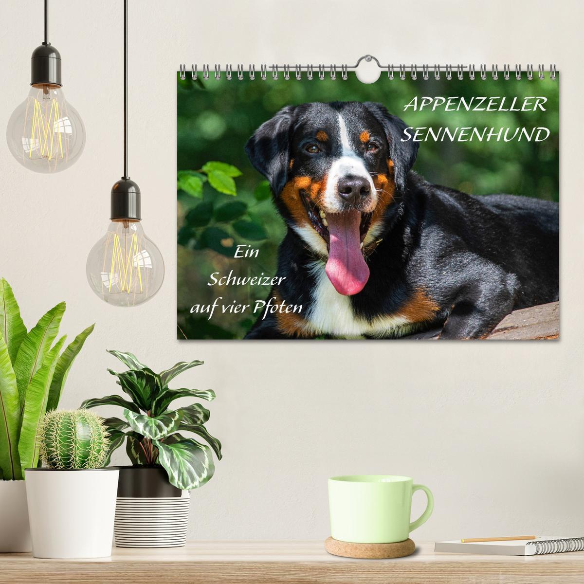 Bild: 9783435112890 | Appenzeller Sennenhund - Ein Schweizer auf 4 Pfoten (Wandkalender...