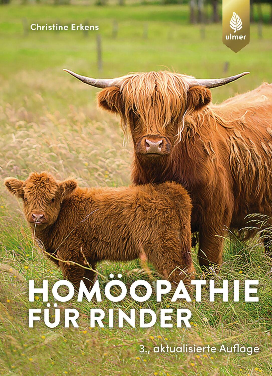Cover: 9783818612702 | Homöopathie für Rinder | Christine Erkens | Taschenbuch | Deutsch