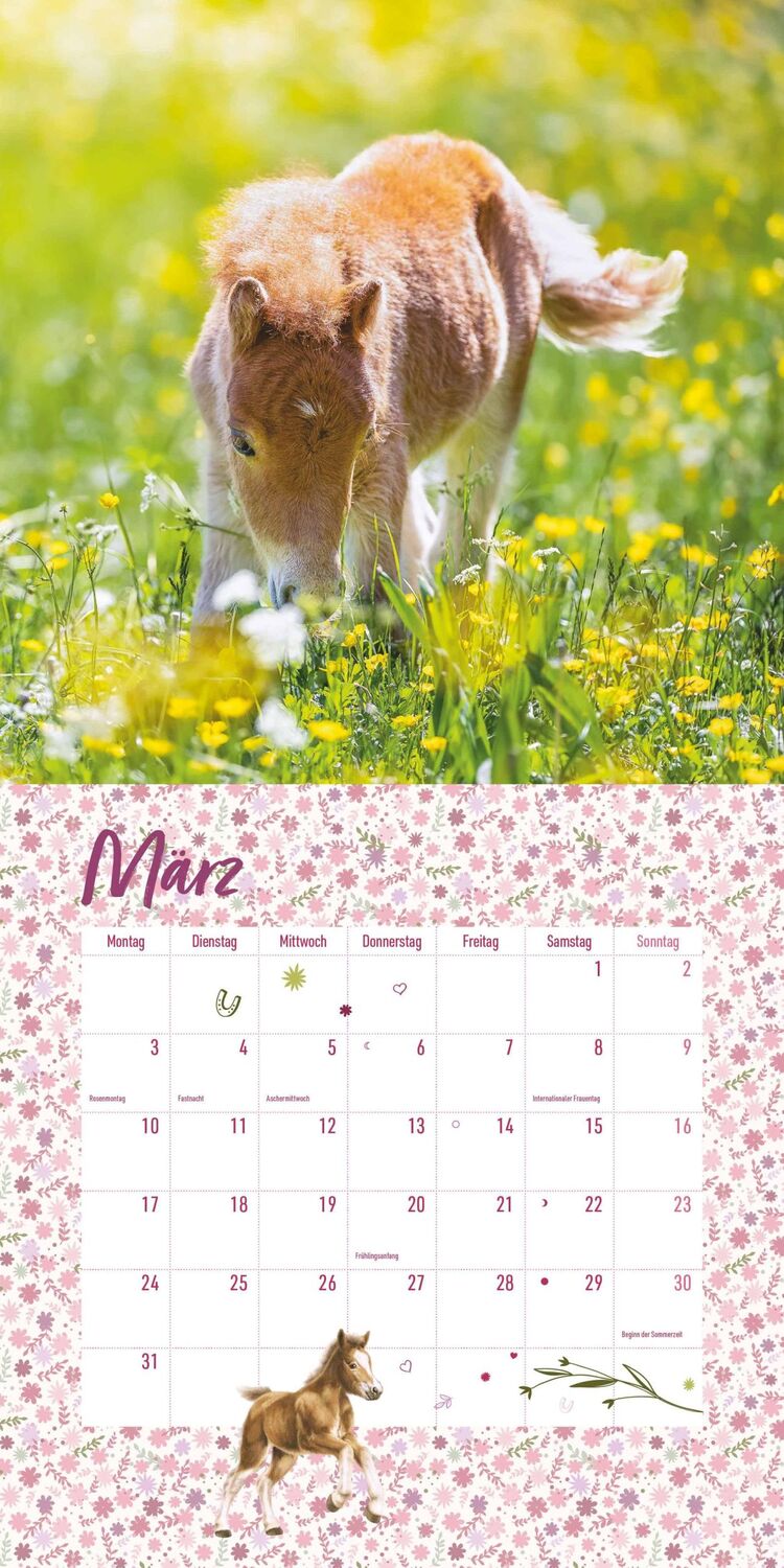 Bild: 4250809652801 | Pferdefreunde 2025 - Broschürenkalender - Kinder-Kalender - Format...