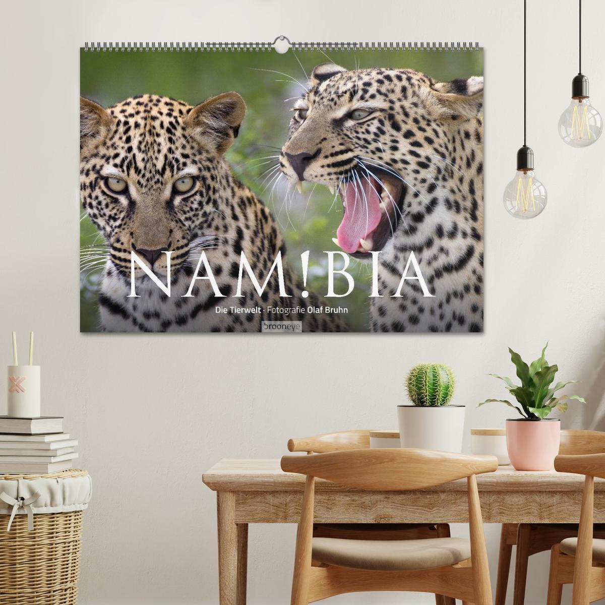 Bild: 9783435715558 | Namibia - Die Tierwelt (Wandkalender 2025 DIN A2 quer), CALVENDO...