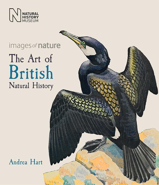 Cover: 9780565094232 | The Art of British Natural History | Andrea Hart | Taschenbuch | 2017