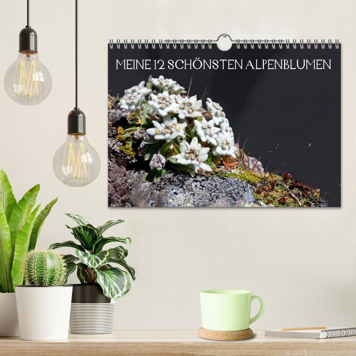 Bild: 9783435724666 | Meine 12 schönsten Alpenblumen (Wandkalender 2025 DIN A4 quer),...