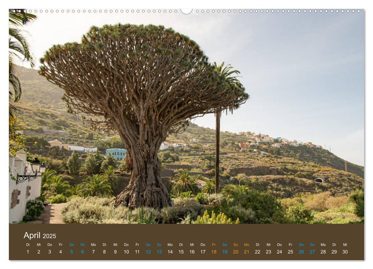 Bild: 9783435146208 | Wundervolles Teneriffa (Wandkalender 2025 DIN A2 quer), CALVENDO...