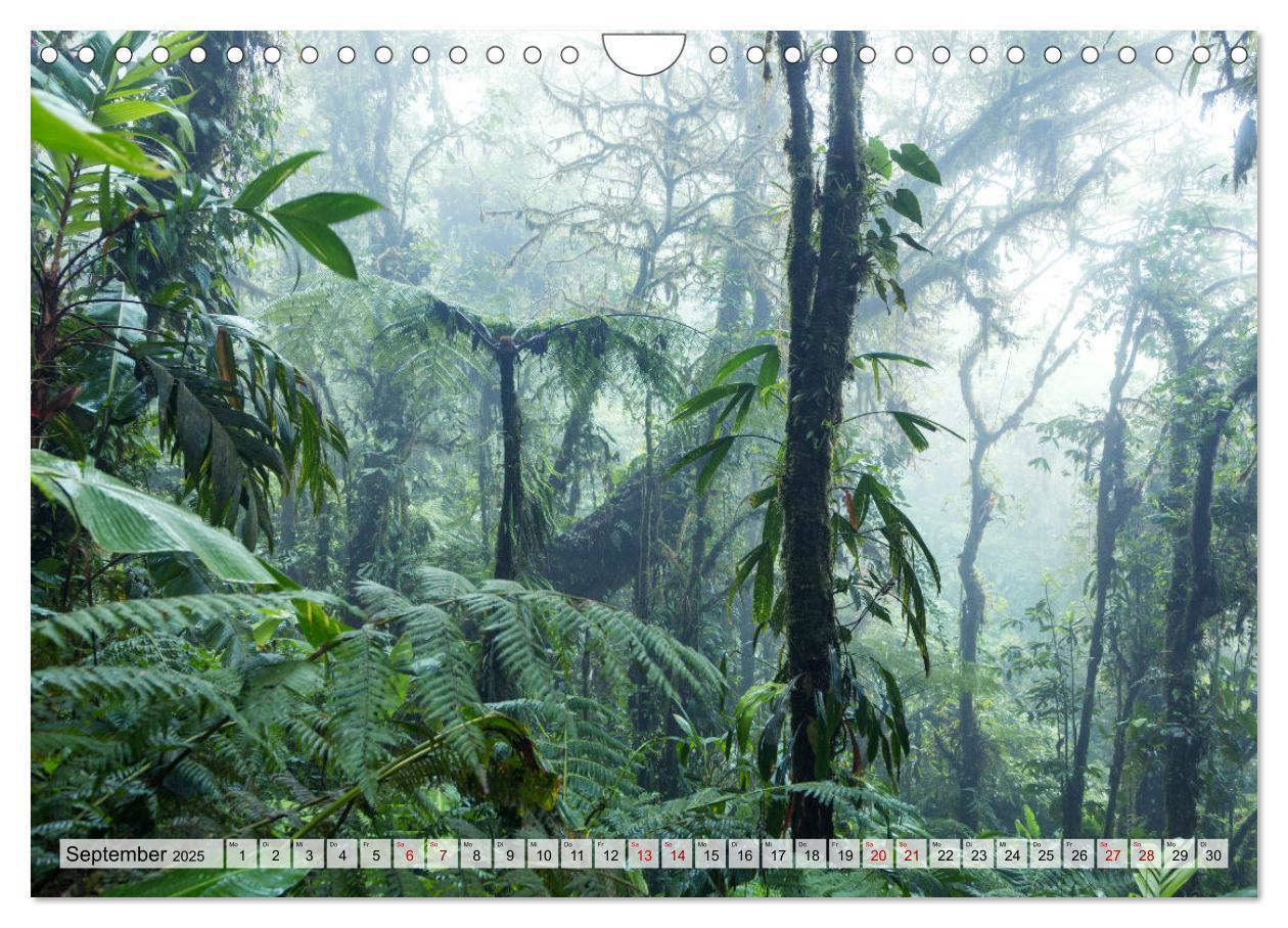 Bild: 9783383949708 | Costa Rica - Tierwelt und Landschaften (Wandkalender 2025 DIN A4...