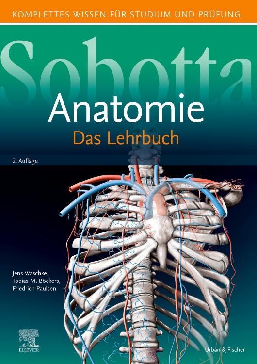 Cover: 9783437440816 | Sobotta Lehrbuch Anatomie | Jens Waschke (u. a.) | Buch | Sobotta