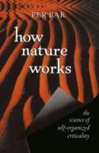 Bild: 9780387987385 | How Nature Works | The Science of Self-Organized Criticality | Per Bak