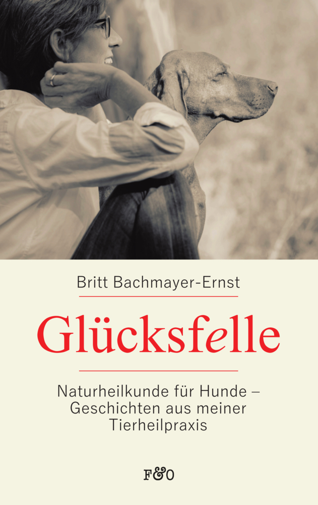 Cover: 9783956930447 | Glücksfelle | Britt Bachmayer-Ernst | Taschenbuch | 2018