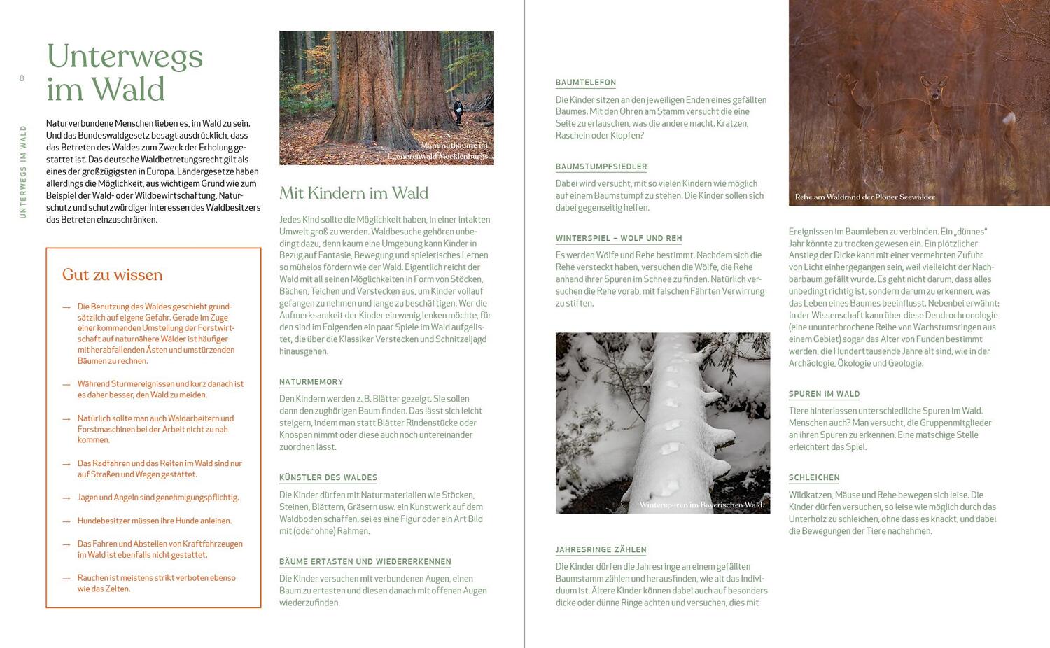 Bild: 9783942048958 | Wild Guide Deutsche Wälder | Björn Nehrhoff von Holderberg | Buch