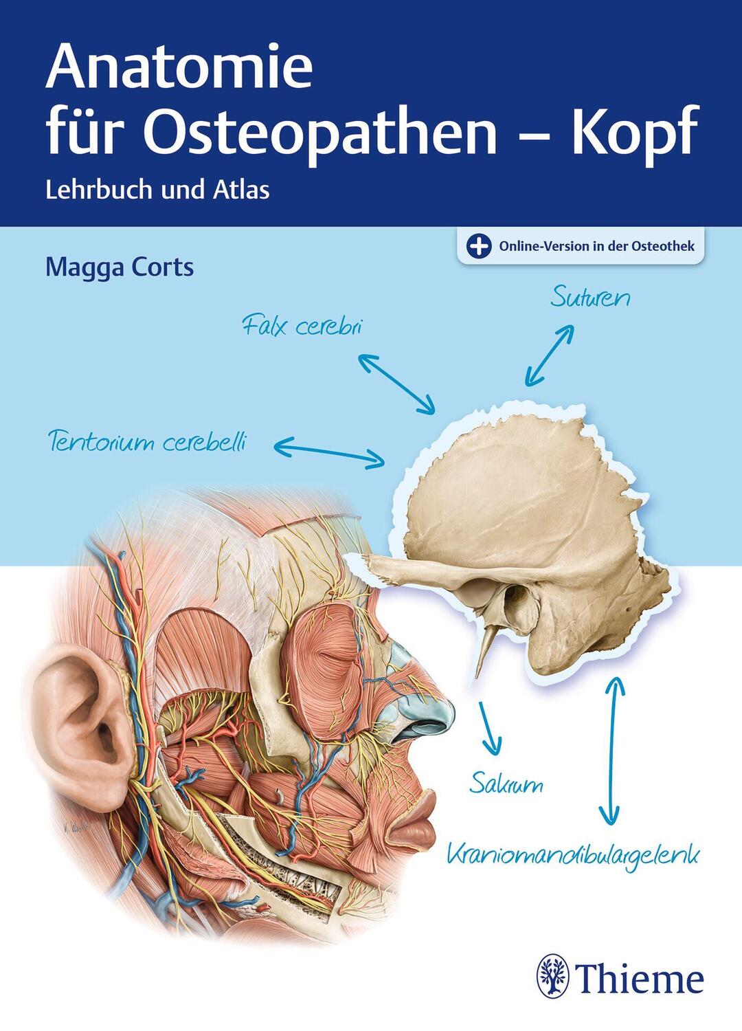Cover: 9783132439665 | Anatomie für Osteopathen - Kopf | Margarethe Corts | Bundle | 1 Buch