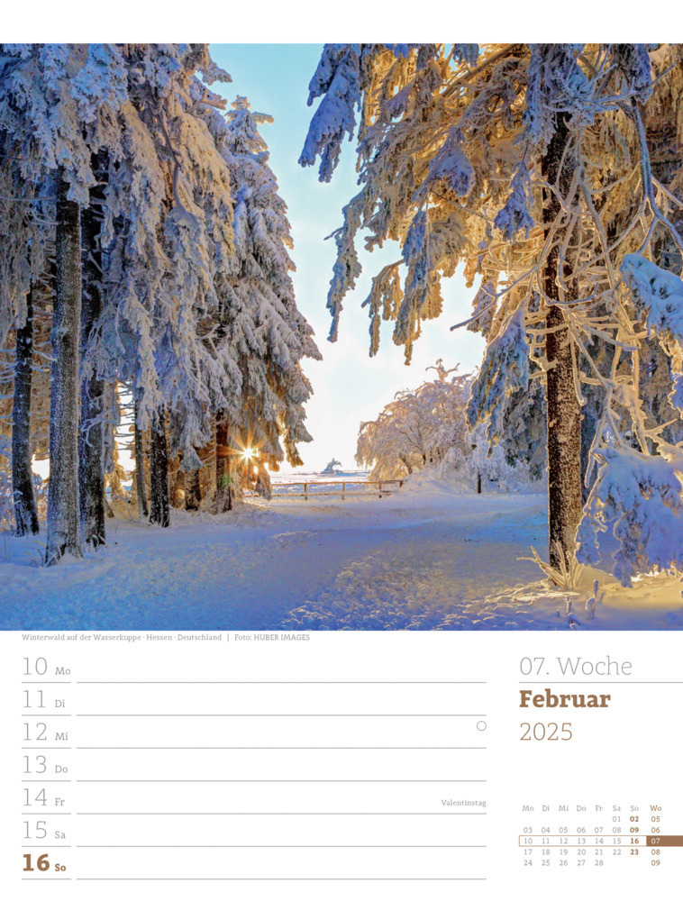 Bild: 9783838425979 | Unser Wald - Wochenplaner Kalender 2025 | Ackermann Kunstverlag | 2025