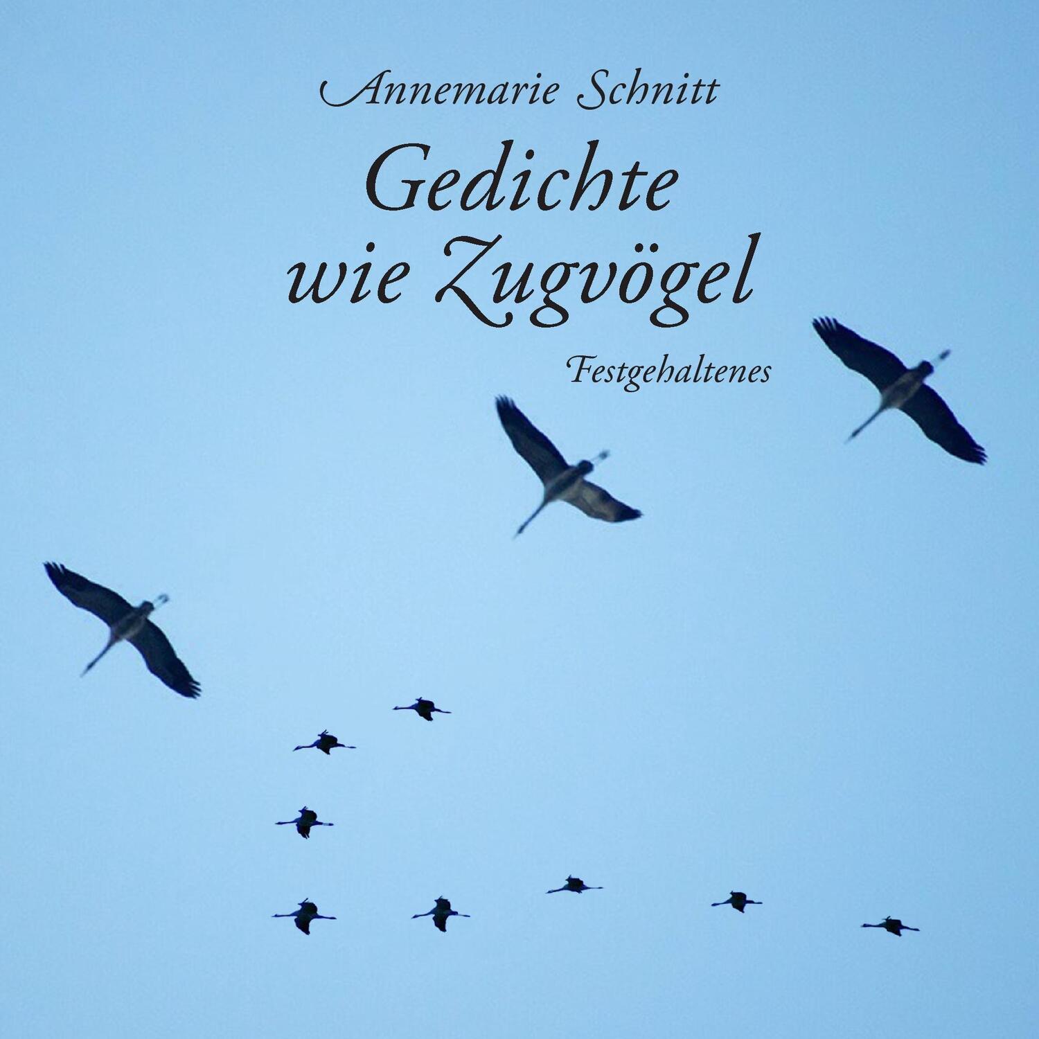 Cover: 9783739219455 | Gedichte wie Zugvögel | Festgehaltenes | Annemarie Schnitt | Buch
