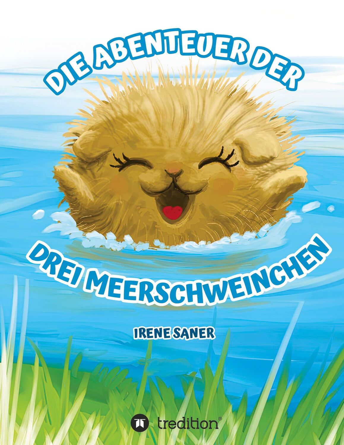 Cover: 9783347237353 | Die Abenteuer der drei Meerschweinchen | Irene Saner | Buch | 96 S.