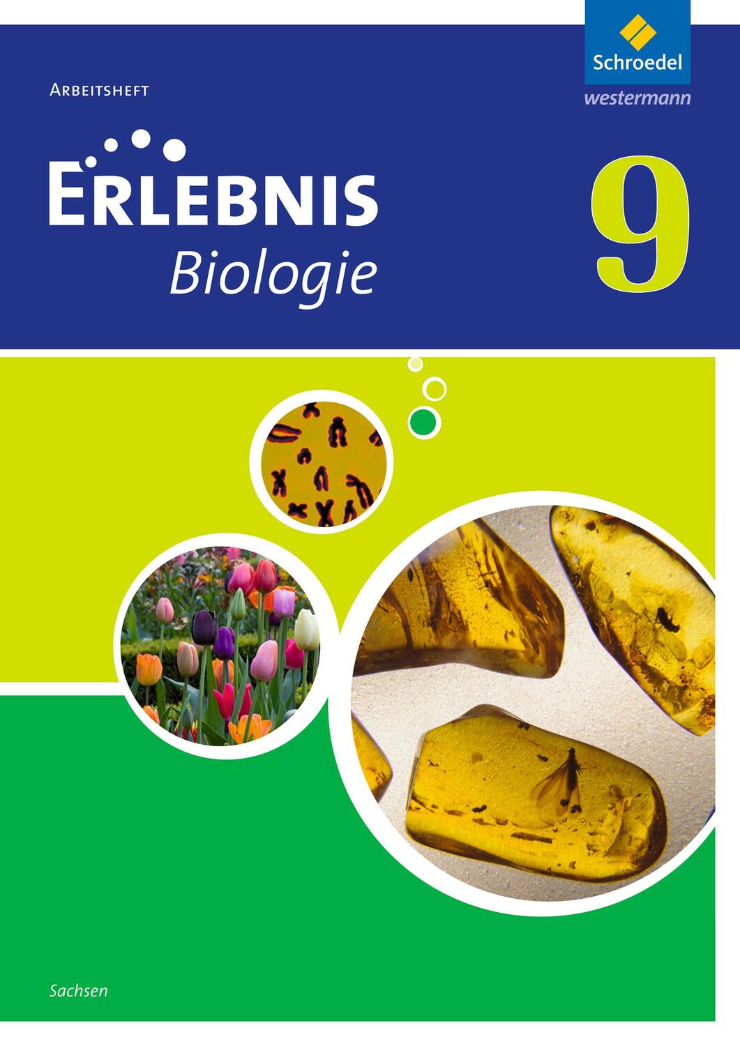 Cover: 9783507776081 | Erlebnis Biologie 9. Arbeitsheft. Sachsen | Ausgabe 2012 | Broschüre