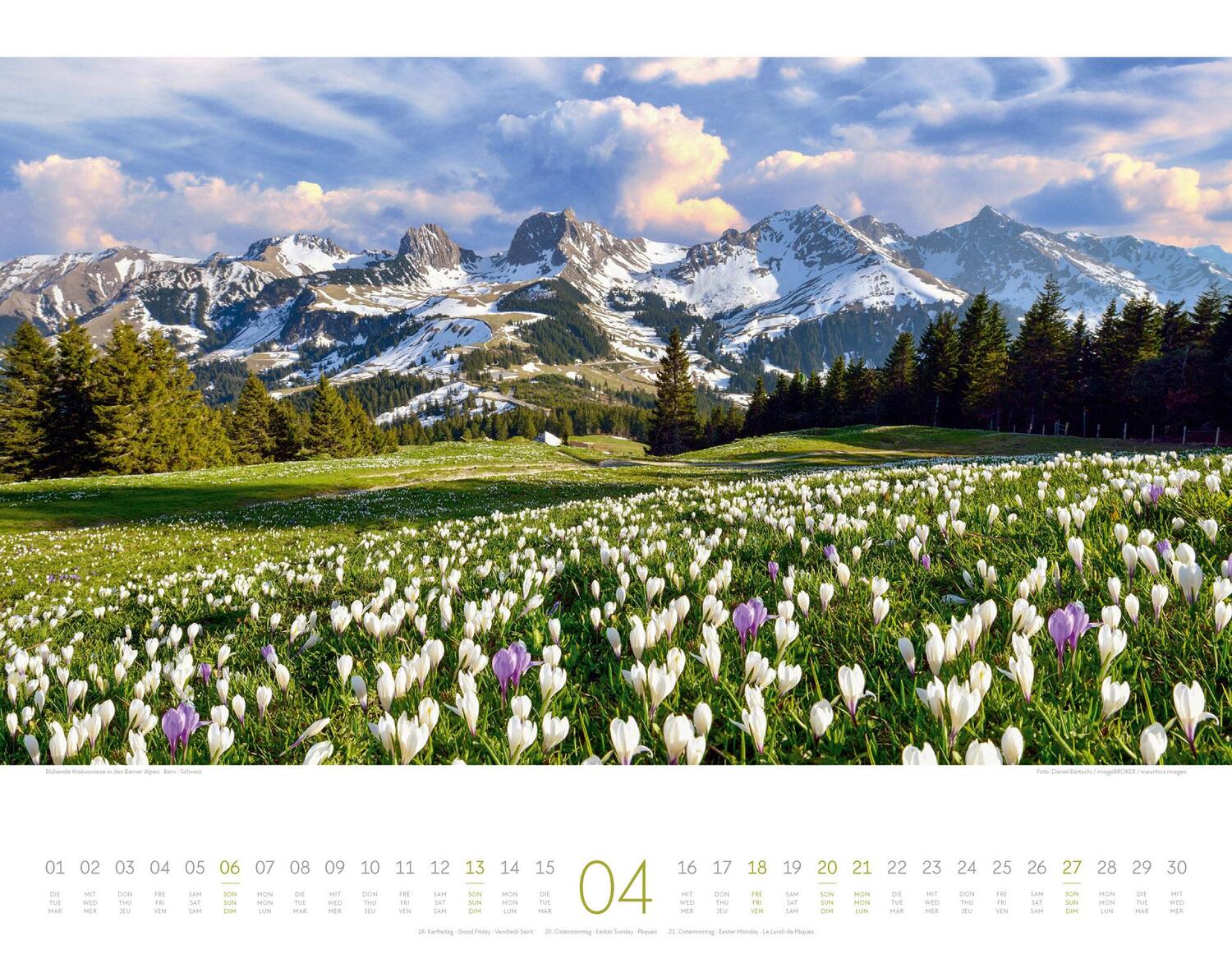 Bild: 9783838425849 | Naturparadies Alpen Kalender 2025 | Ackermann Kunstverlag | Kalender