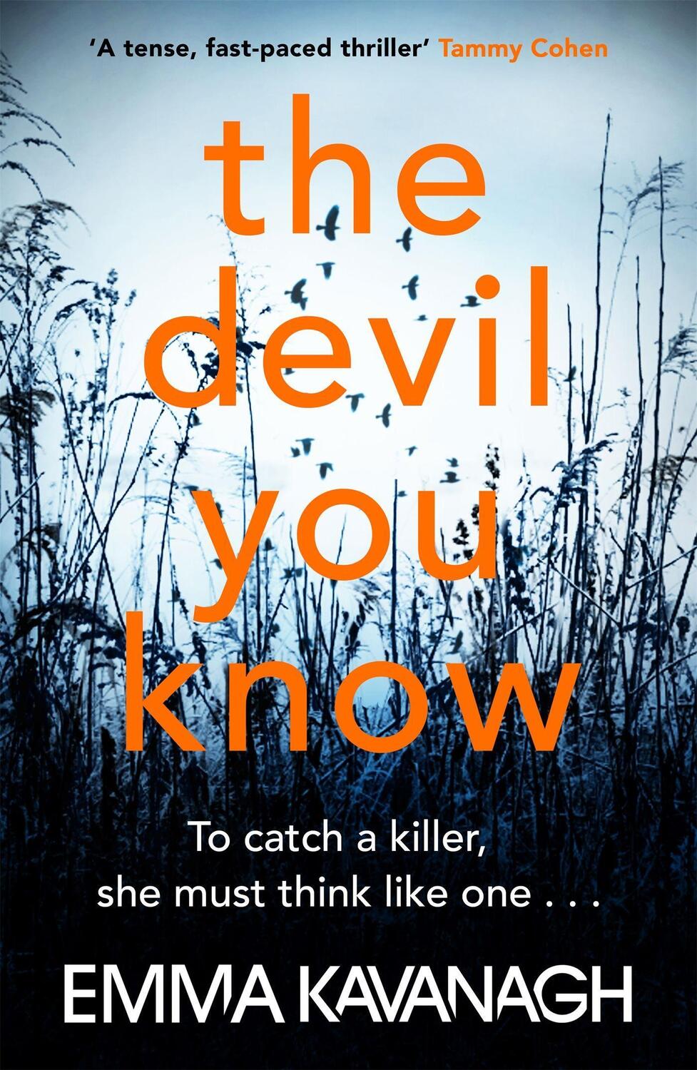 Cover: 9781409175032 | The Devil You Know | To catch a killer, she must think like one | Buch