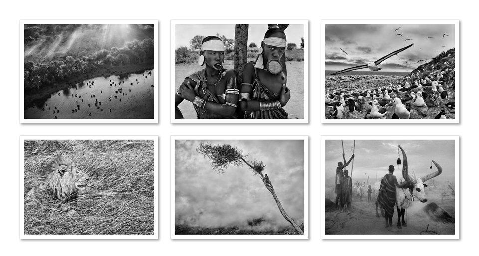 Bild: 9783836548014 | Sebastião Salgado. GENESIS. Postcard Set | Taschenbuch | 50 S. | 2020