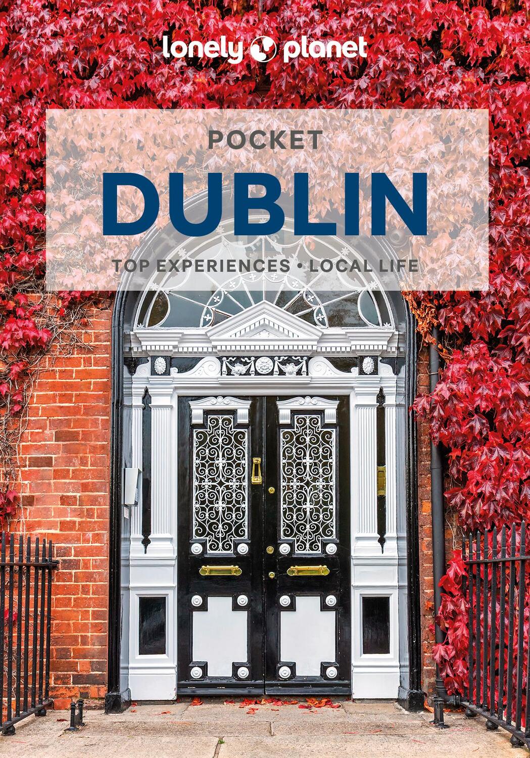 Cover: 9781838698850 | Pocket Dublin | Neil Wilson | Taschenbuch | Lonely Planet Travel Guide