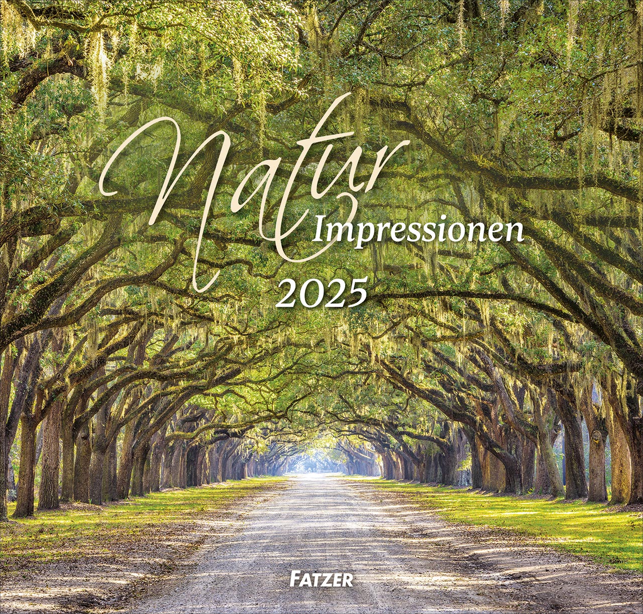 Cover: 9783866037731 | Natur Impressionen 2025 | Maße (B/H): 33,5 x 32 cm, Wandkalender