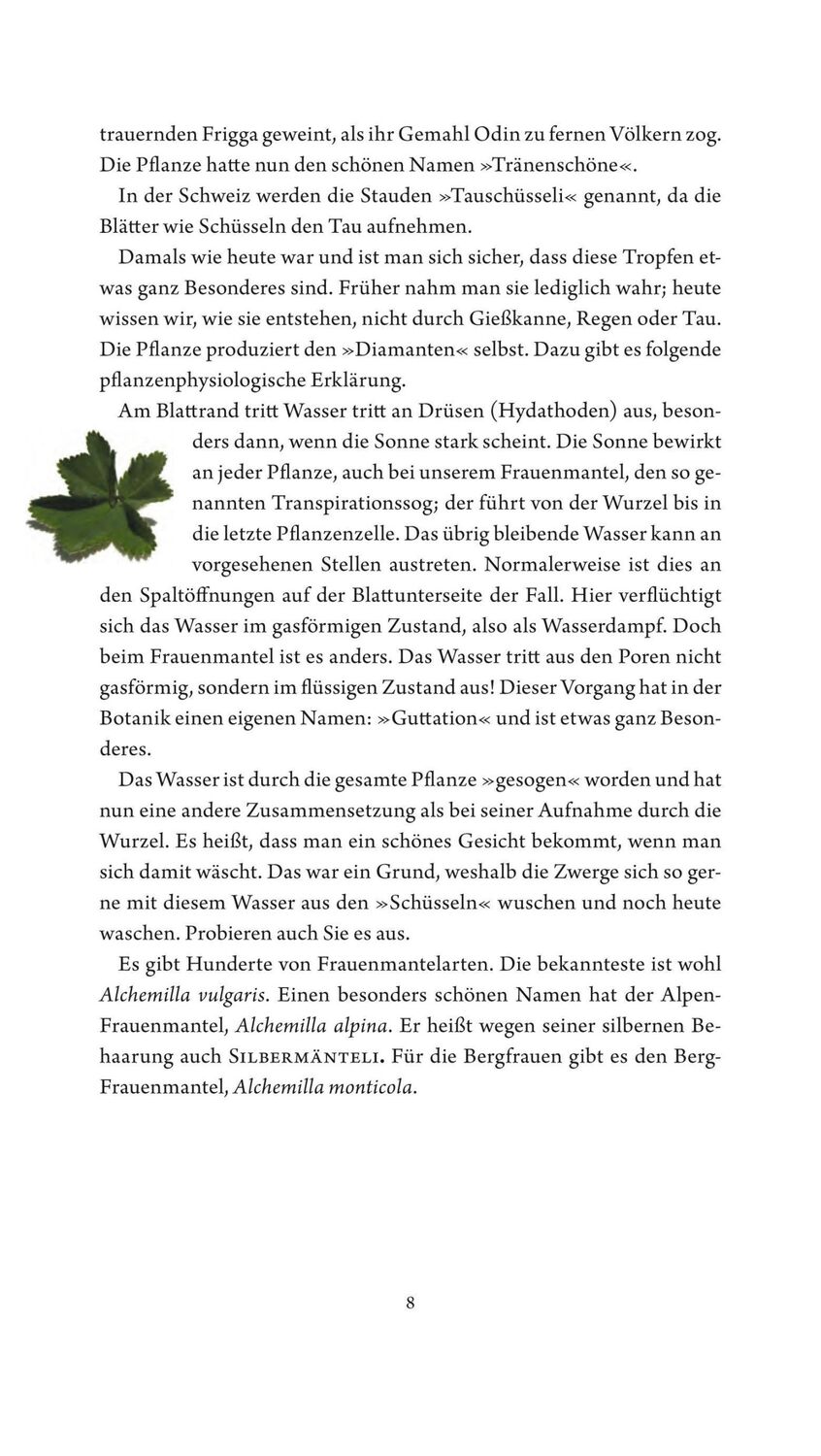 Bild: 9783887473297 | Jungfer im Grünen und Tausendgüldenkraut | Rosemarie Gebauer | Buch