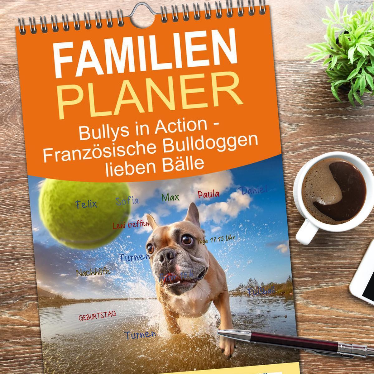 Bild: 9783457193877 | Familienplaner 2025 - Bullys in Action - Französische Bulldoggen...