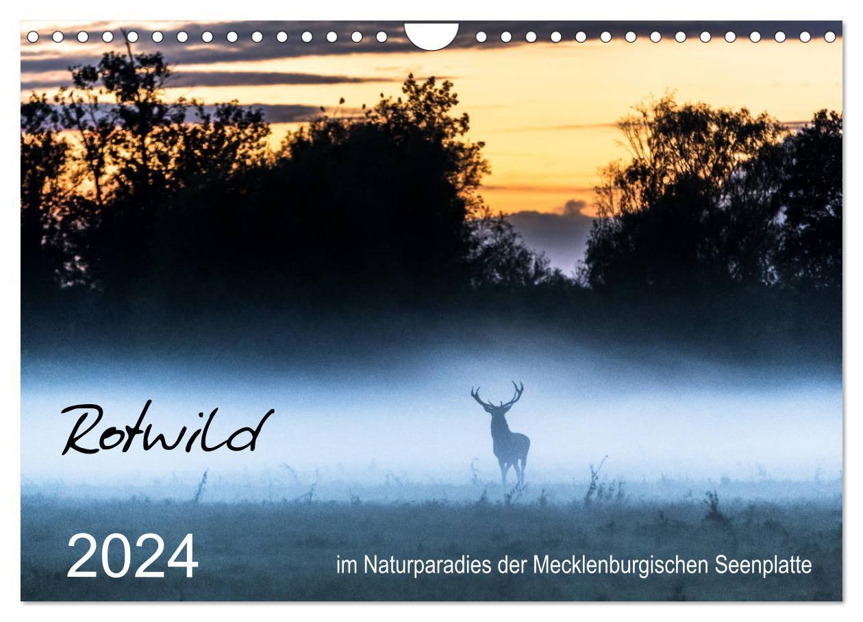 Cover: 9783383041624 | Rotwild - im Naturparadies der Mecklenburgischen Seenplatte...