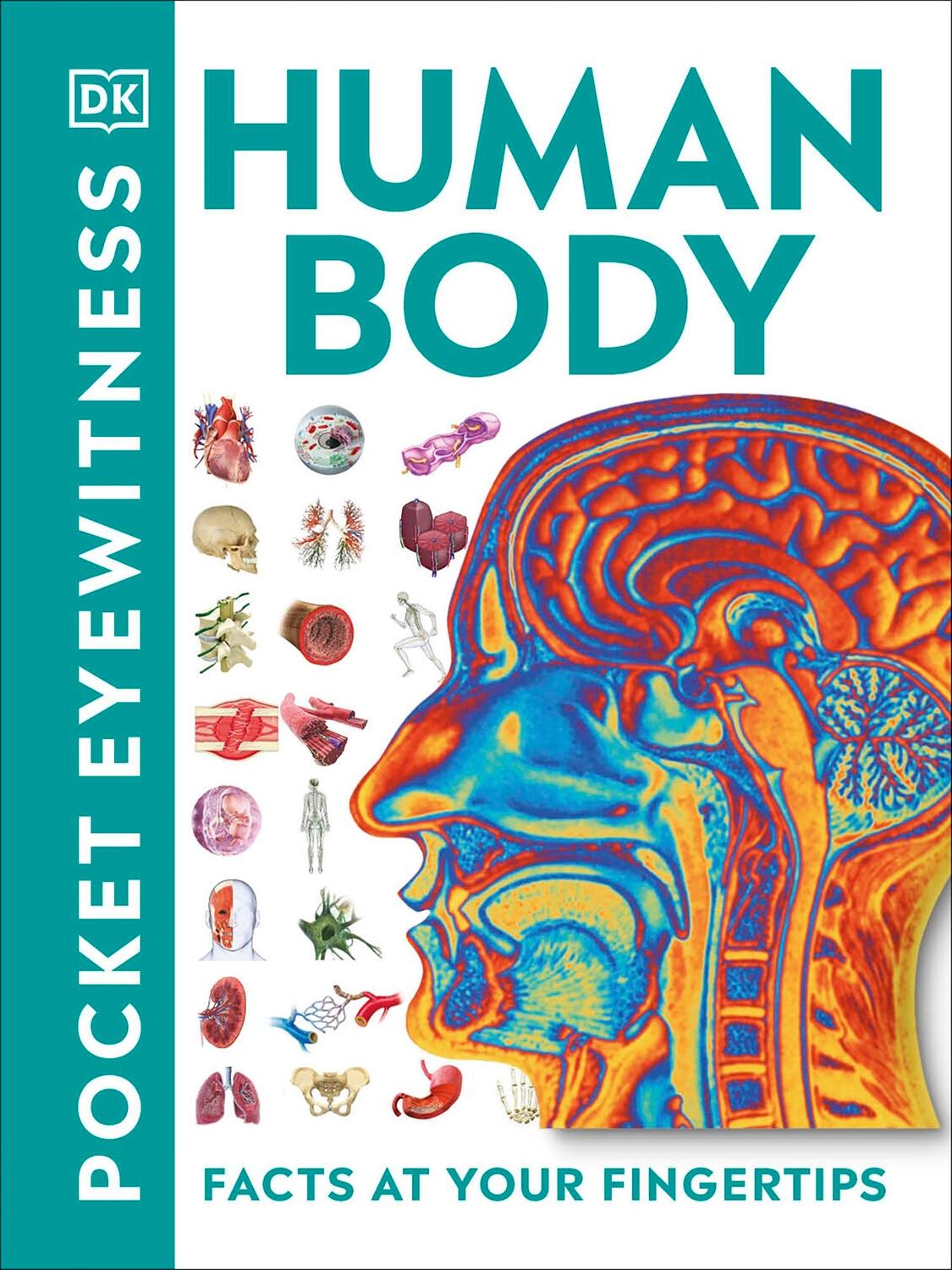 Cover: 9780241343630 | Pocket Eyewitness Human Body | Facts at Your Fingertips | Dk | Buch