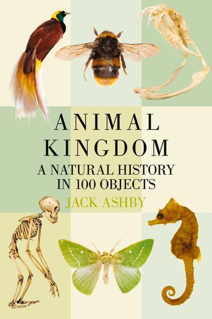 Cover: 9780750981521 | Animal Kingdom | A Natural History in 100 Objects | Jack Ashby | Buch
