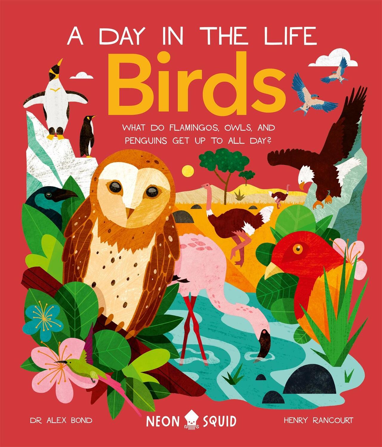 Cover: 9781838992705 | Birds (A Day in the Life) | Alex Bond (u. a.) | Buch | 2023