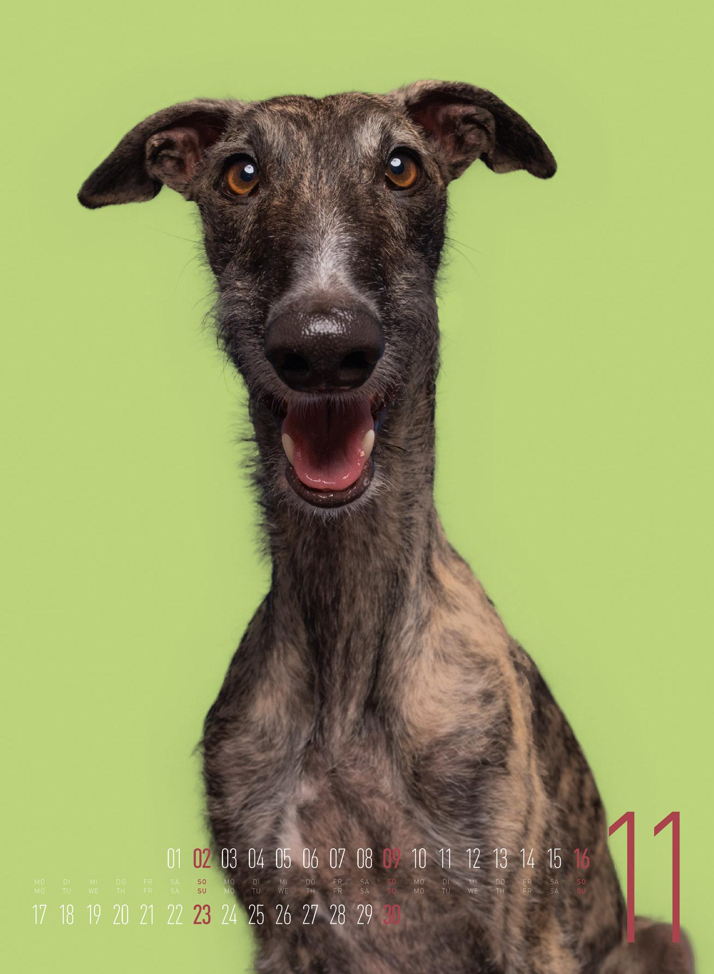 Bild: 9783838425870 | Frei Schnauze - Kalender 2025 | Elke Vogelsang (u. a.) | Kalender