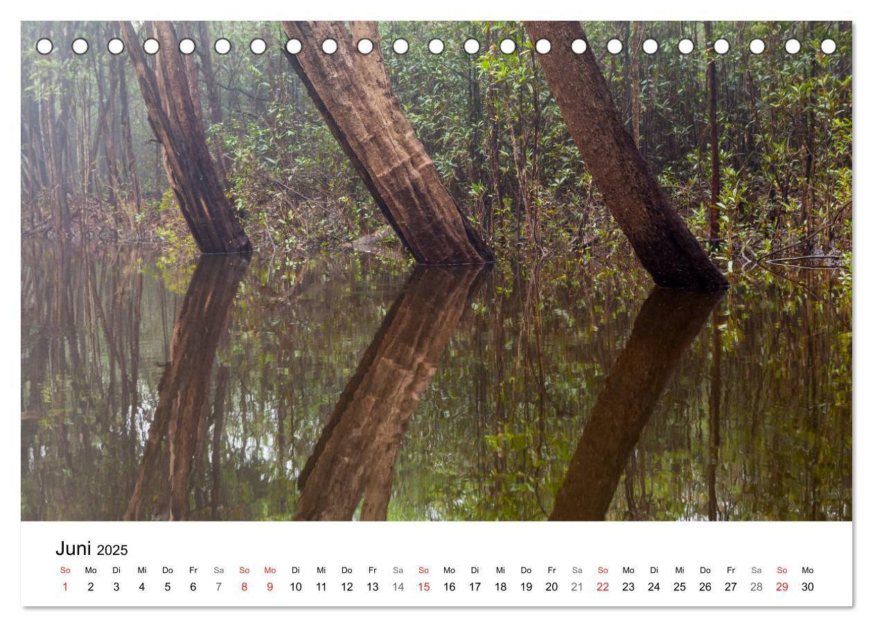 Bild: 9783435335992 | Mythos Amazonas - Naturparadies Brasiliens (Tischkalender 2025 DIN...