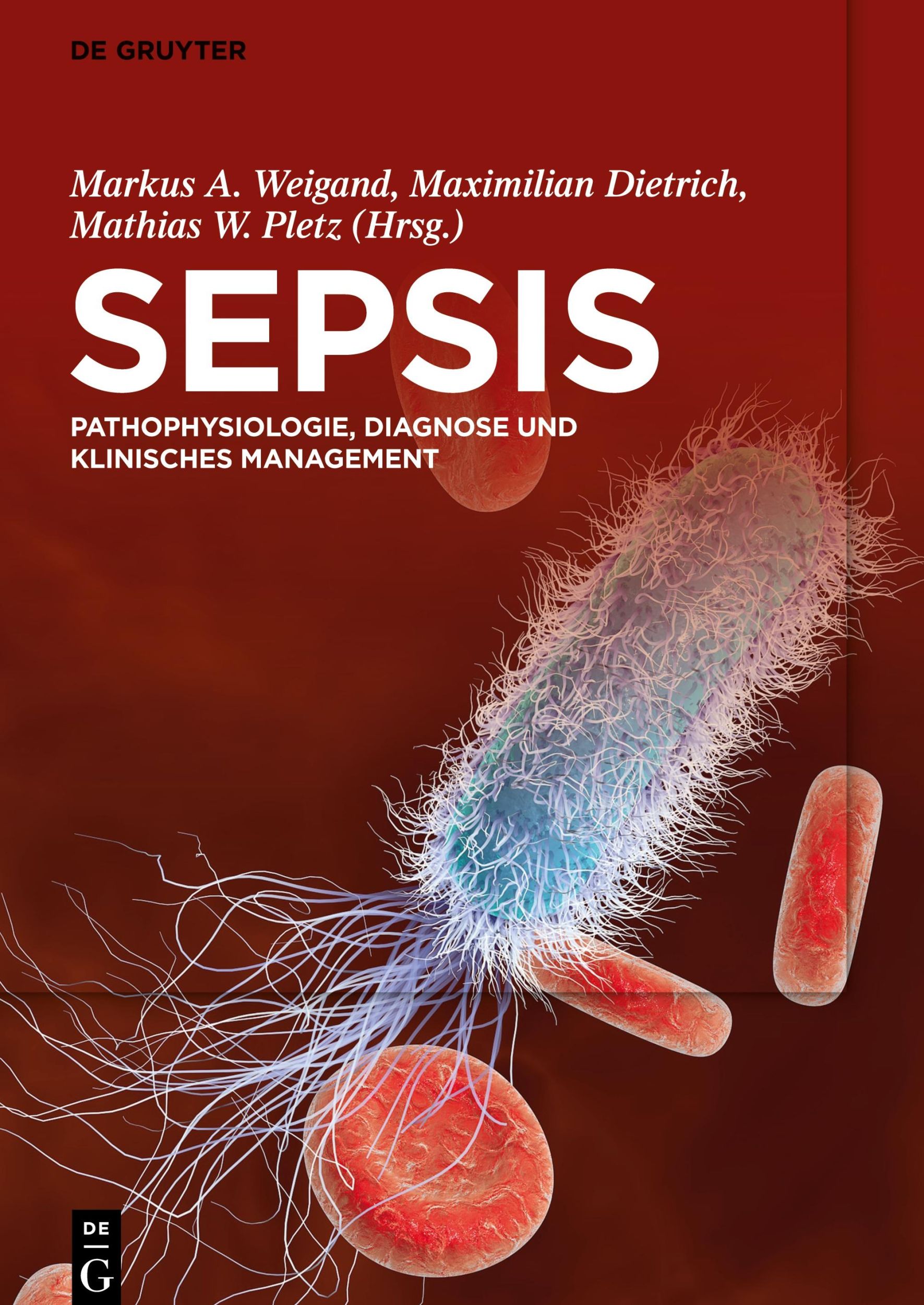 Cover: 9783110673364 | Sepsis | Pathophysiologie, Diagnose und klinisches Management | Buch