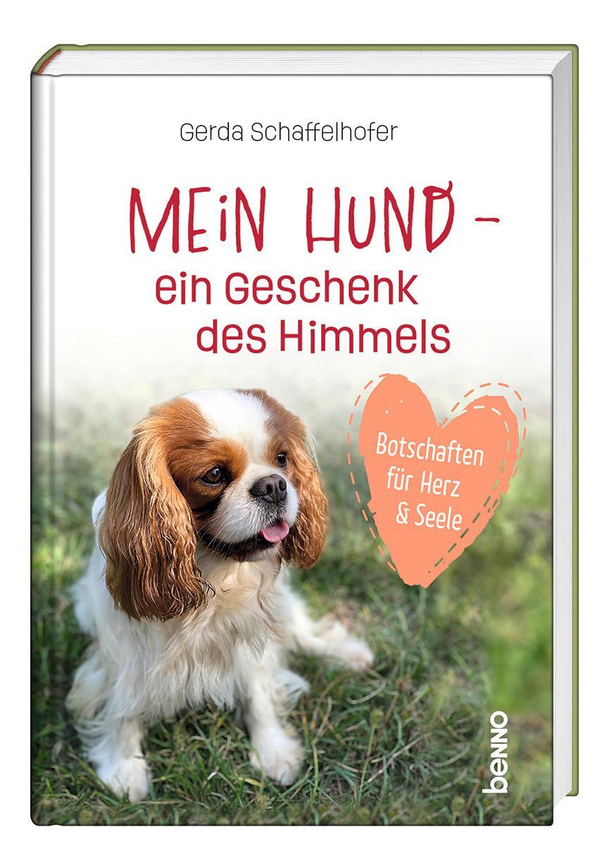Cover: 9783746265957 | Mein Hund - ein Geschenk des Himmels | Botschaften für Herz und Seele