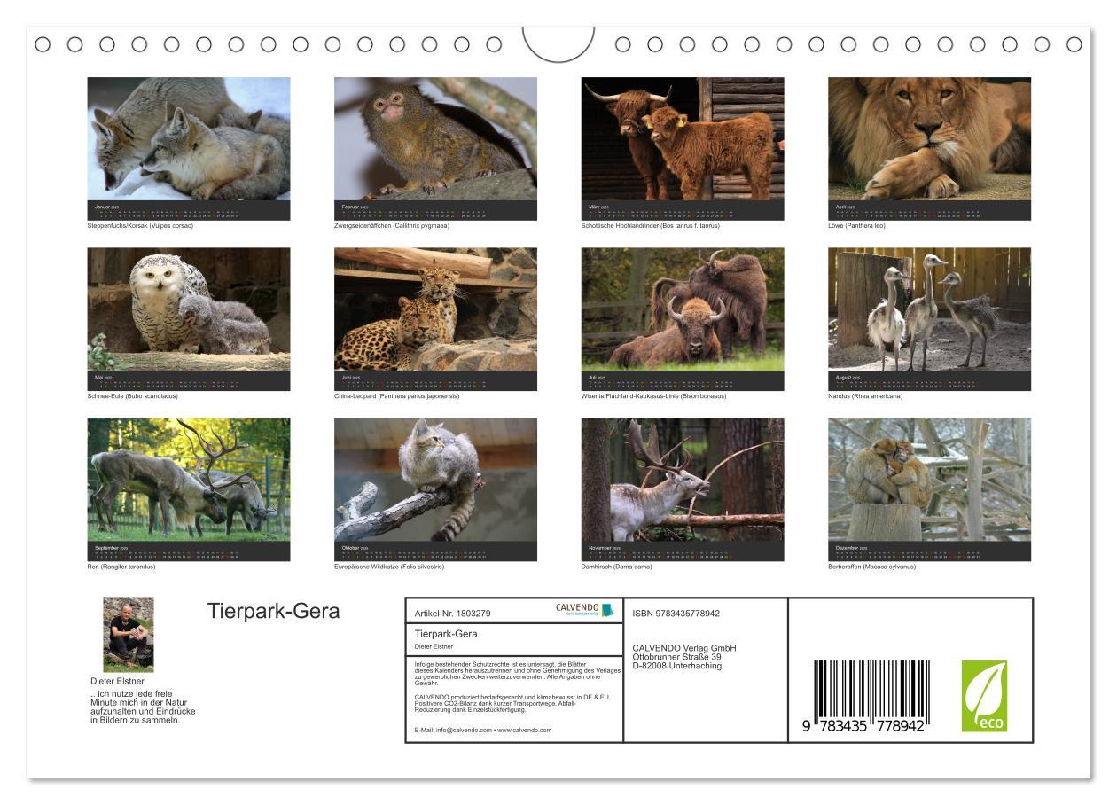 Bild: 9783435778942 | Tierpark-Gera (Wandkalender 2025 DIN A4 quer), CALVENDO Monatskalender