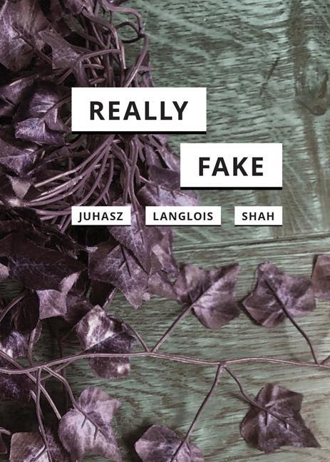 Cover: 9781517911010 | Really Fake | Alexandra Juhasz (u. a.) | Taschenbuch | Englisch | 2021
