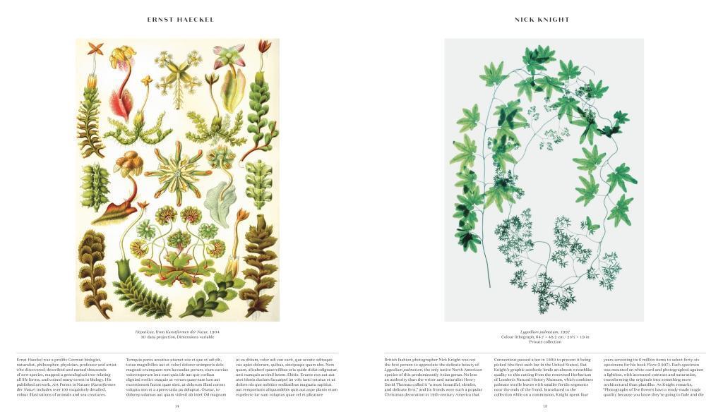 Bild: 9780714871486 | Plant: Exploring the Botanical World | Phaidon Editors | Buch | 2016