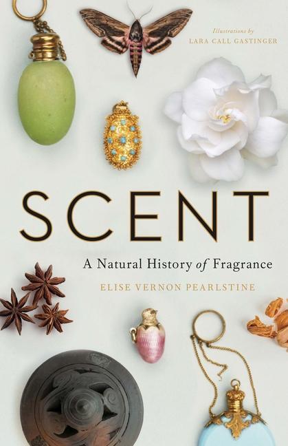 Cover: 9780300246964 | Scent | A Natural History of Fragrance | Pearlstine (u. a.) | Buch