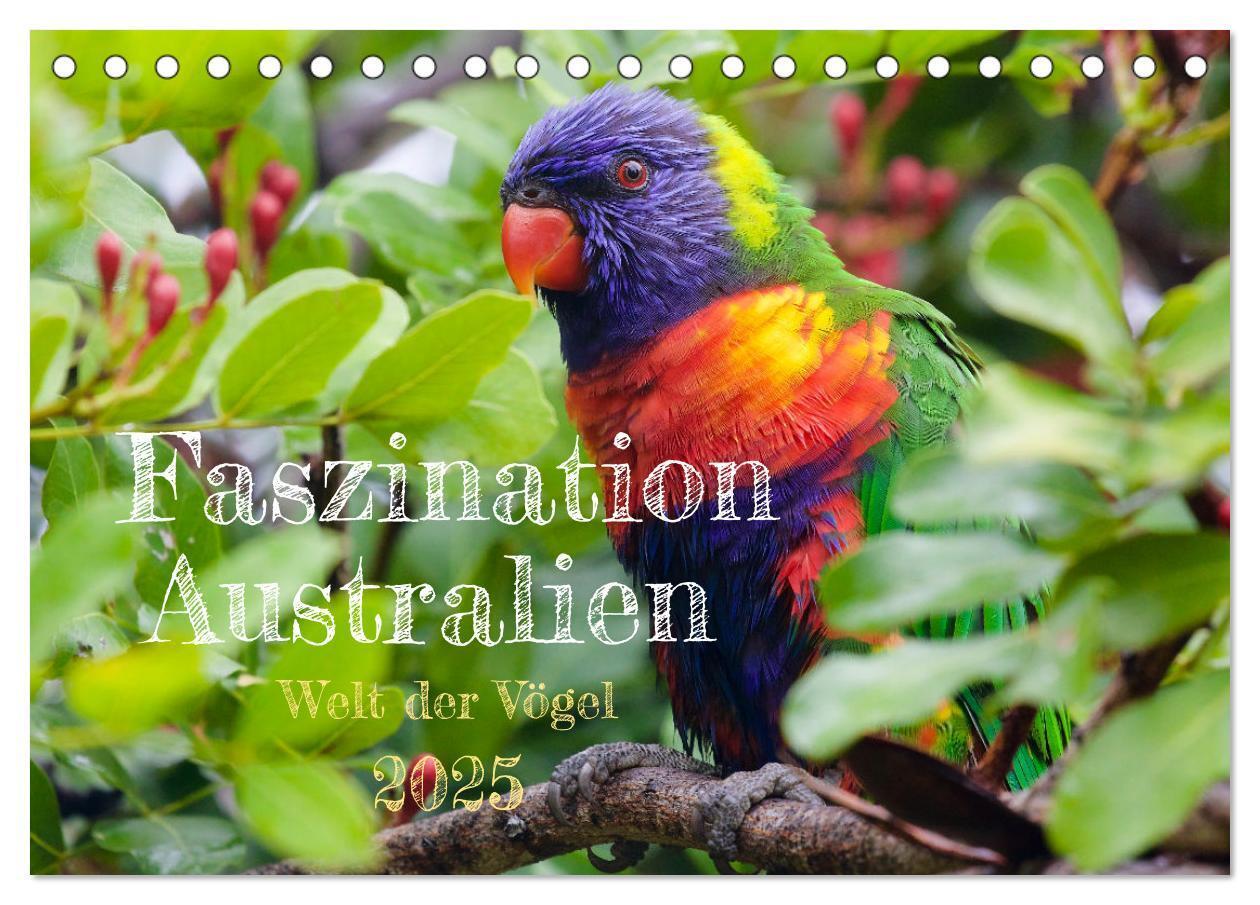 Cover: 9783383881909 | Faszination Australien - Welt der Vögel (Tischkalender 2025 DIN A5...