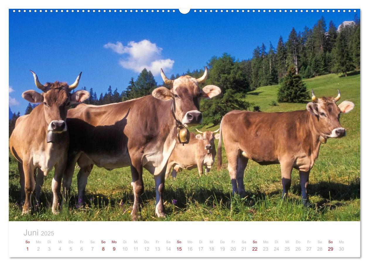 Bild: 9783435775361 | Graubünden Engadin 2025 (Wandkalender 2025 DIN A2 quer), CALVENDO...