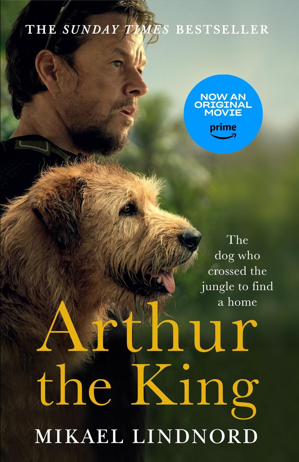 Cover: 9781473625266 | Arthur | The Dog Who Crossed the Jungle to Find a Home | Lindnord